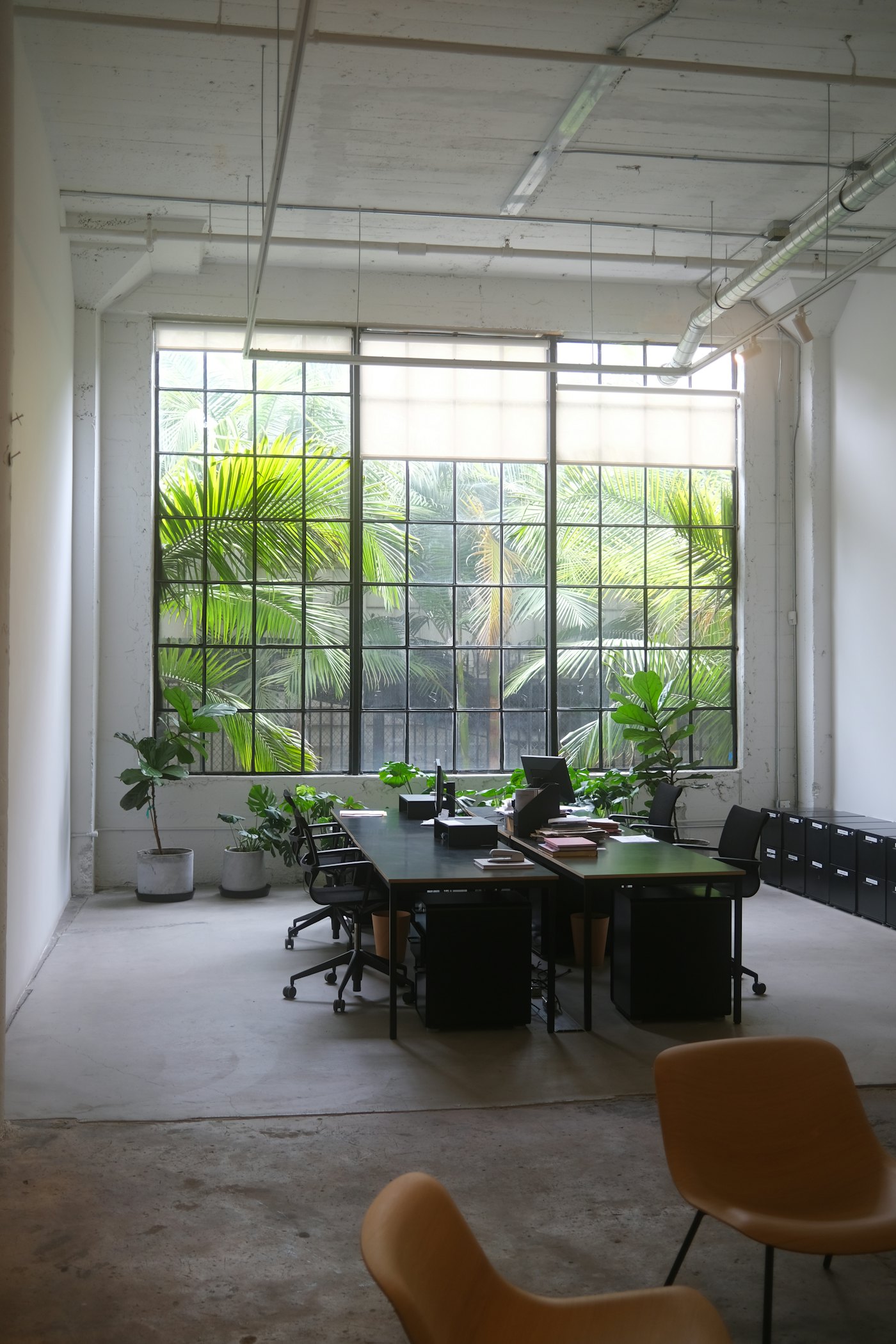 A quiet room with plants and a large factory-style window